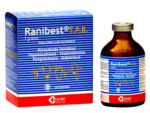 Ranibest-x-1-g-y-suplatorio.png